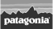 Patagonia-Logo 1
